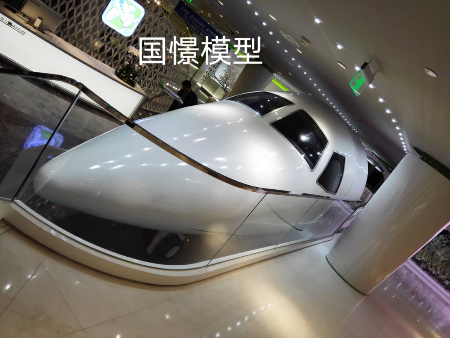 大连大型仿真模型道具